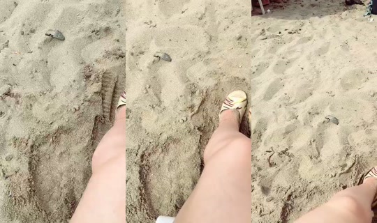 fraiseta8 TikTok Live — Aug 20, 2026, 2:20 PM