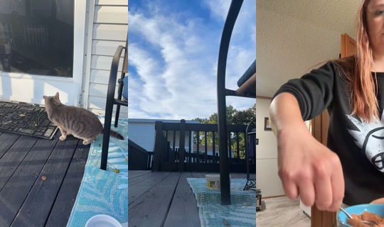 freckleface.ari TikTok Live — Oct 2, 2026, 9:33 PM