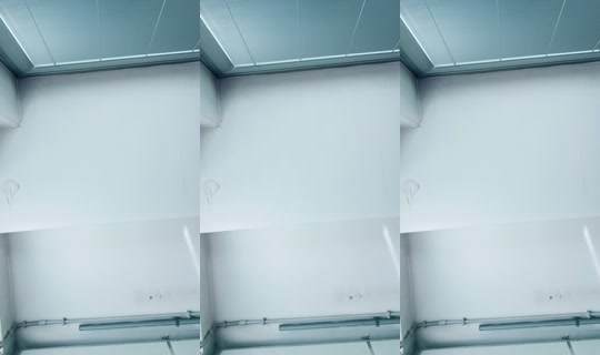 freedomedream TikTok Live — Sep 14, 2026, 10:50 AM