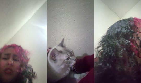 freitasgabi00 TikTok Live — Sep 8, 2026, 1:12 AM