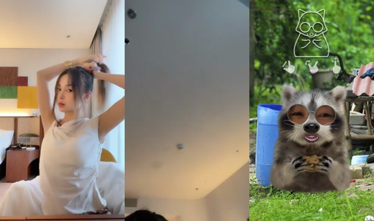 frongzii44.1 TikTok Live — Aug 23, 2026, 4:04 AM