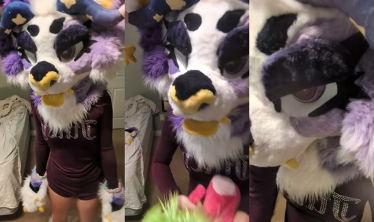 furryshortcake TikTok Live — Sep 22, 2026, 6:03 PM