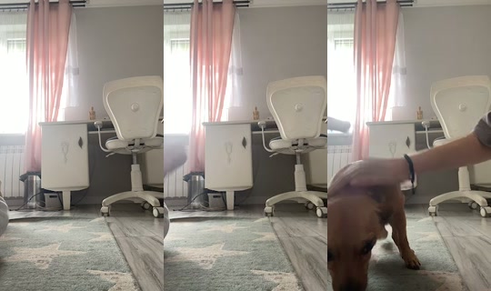 fuzzy.pawsss TikTok Live — Aug 22, 2026, 10:51 AM