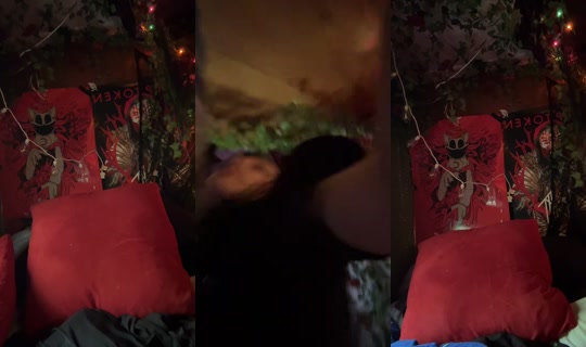 g0re_r0se TikTok Live — Sep 1, 2026, 9:28 PM