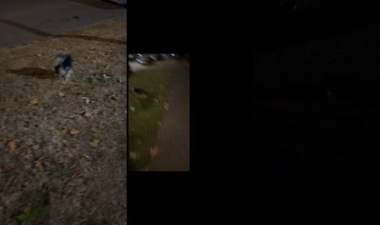 gabbiediana TikTok Live — Aug 23, 2026, 6:28 AM