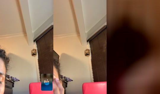 gabireyes701 TikTok Live — Aug 23, 2026, 11:04 PM
