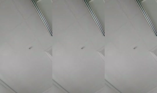 gabisofialm TikTok Live — Aug 26, 2026, 4:52 PM