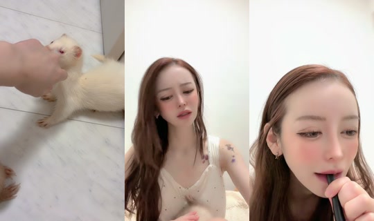 ganbaruzo8995 TikTok Live — Aug 31, 2026, 4:57 AM