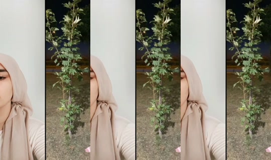gece09404 TikTok Live — Aug 21, 2026, 7:11 AM
