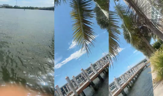 giajadore TikTok Live — Aug 30, 2026, 3:20 PM