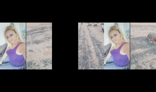 gibotsandra TikTok Live — Sep 11, 2026, 5:14 PM