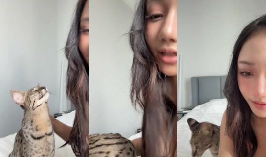 giftracha.aa TikTok Live — Aug 30, 2026, 8:54 AM