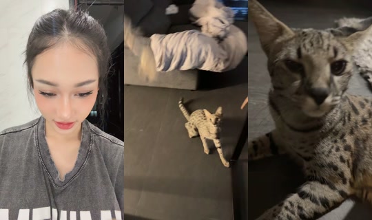 giftracha.aa TikTok Live — Sep 11, 2026, 2:15 PM