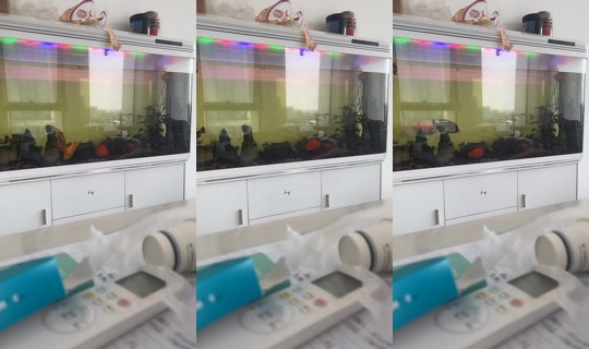 gigsuy2n73 TikTok Live — Sep 25, 2026, 4:39 AM