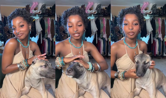 girlwithlocs03 TikTok Live — Aug 30, 2026, 5:56 PM