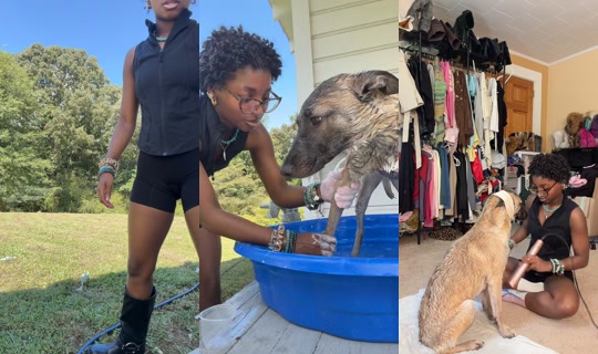 girlwithlocs03 TikTok Live — Aug 31, 2026, 6:22 PM