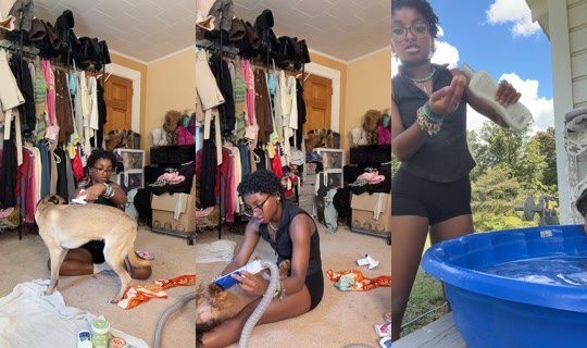 girlwithlocs03 TikTok Live — Aug 31, 2026, 7:12 PM