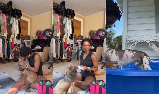 girlwithlocs03 TikTok Live — Aug 31, 2026, 8:03 PM