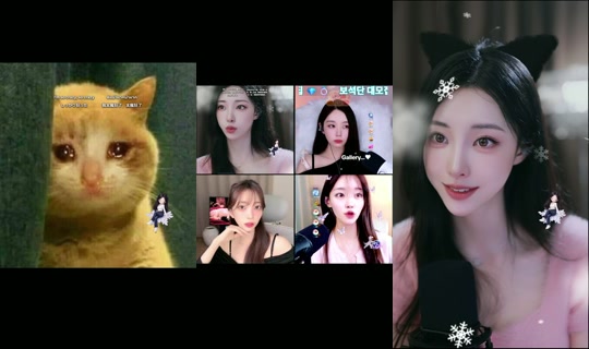 goeun1231 TikTok Live — Oct 7, 2026, 11:14 AM
