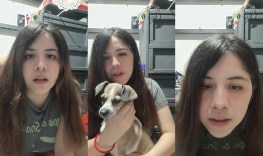 gopos.alertaperruna TikTok Live — Oct 8, 2026, 3:24 AM