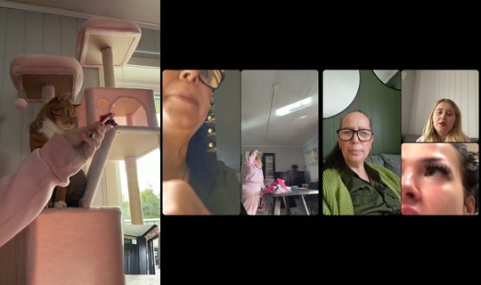 grokristin1 TikTok Live — Oct 4, 2026, 11:16 AM