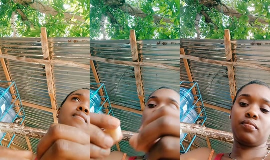 guadalupe.nails50 TikTok Live — Oct 1, 2026, 2:50 PM