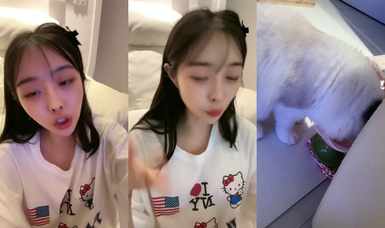 gyunie01 TikTok Live — Oct 8, 2026, 3:04 PM
