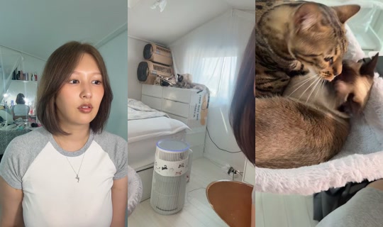 h.rown TikTok Live — Aug 24, 2026, 6:34 AM