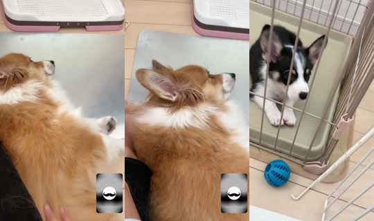 h4n0._117 TikTok Live — Aug 24, 2026, 7:01 AM