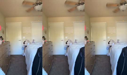 ha.lle TikTok Live — Oct 6, 2026, 7:40 PM