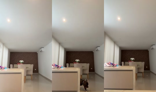 hada_444 TikTok Live — Sep 2, 2026, 9:23 PM