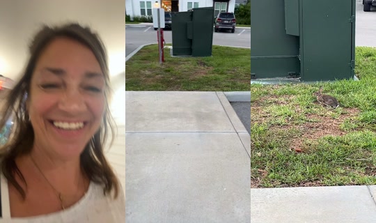 hadtochangeme TikTok Live — Sep 25, 2026, 11:19 AM