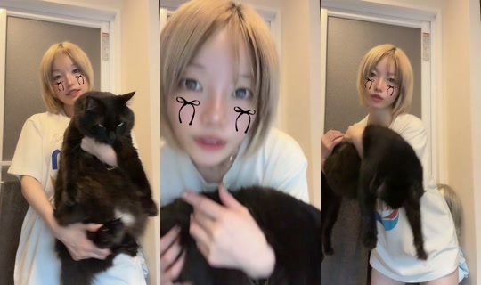 halhal_0402 TikTok Live — Aug 30, 2026, 12:06 PM