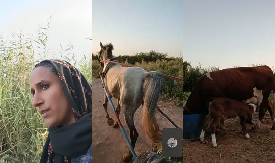 halkinsesi4 TikTok Live — Aug 22, 2026, 3:16 PM