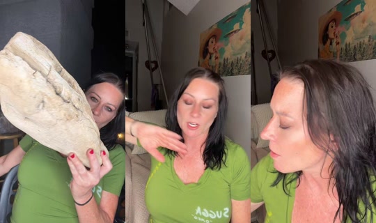 halloweenhoney74 TikTok Live — Oct 7, 2026, 8:38 AM