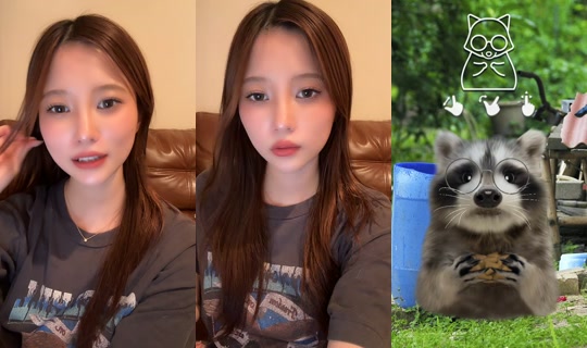 hanami0809 TikTok Live — Aug 24, 2026, 1:29 PM