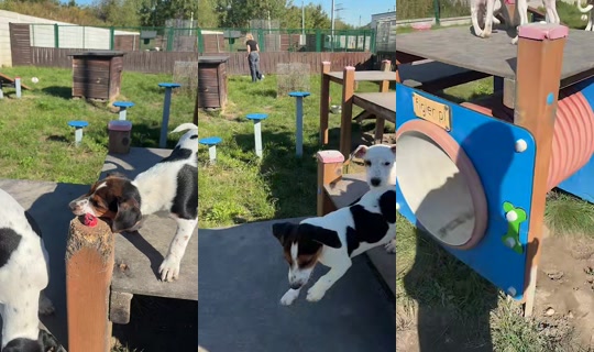 happyjumperzabrze TikTok Live — Sep 29, 2026, 8:45 AM