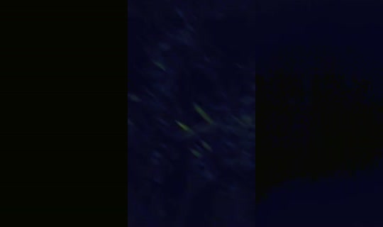 haya1189 TikTok Live — Sep 29, 2026, 8:08 PM