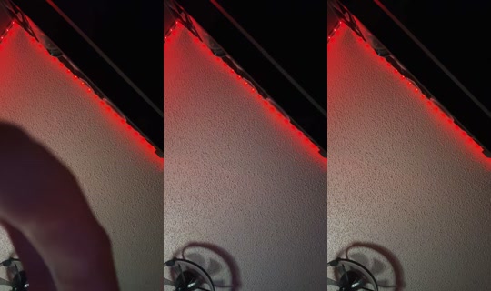 haylee.xoxo2007 TikTok Live — Sep 1, 2026, 2:24 PM