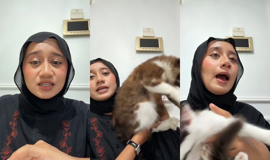 hcisly TikTok Live — Sep 28, 2026, 10:50 AM