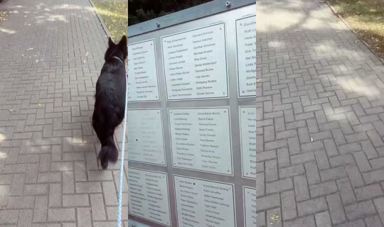 heidii1942 TikTok Live — Aug 25, 2026, 1:18 PM