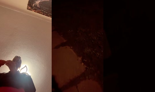 heidii1942 TikTok Live — Aug 29, 2026, 12:50 AM