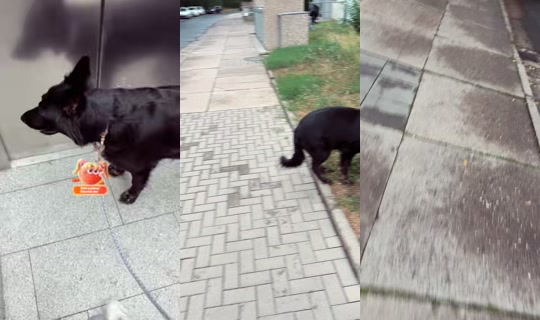 heidii1942 TikTok Live — Aug 31, 2026, 5:29 PM