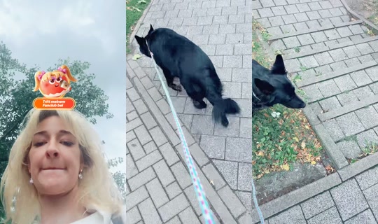 heidii1942 TikTok Live — Sep 5, 2026, 11:14 AM