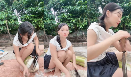 hgminh1905 TikTok Live — Oct 4, 2026, 12:05 AM