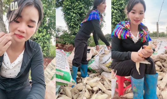 hgminh1905 TikTok Live — Oct 4, 2026, 9:54 AM