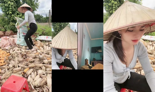 hgminh1905 TikTok Live — Oct 7, 2026, 6:21 AM