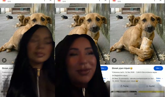 hilally23 TikTok Live — Oct 3, 2026, 4:27 PM
