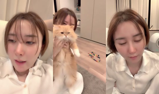himeno801 TikTok Live — Sep 3, 2026, 1:32 PM