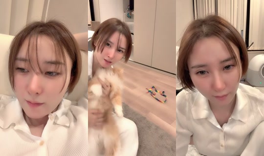 himeno801 TikTok Live — Sep 3, 2026, 1:32 PM